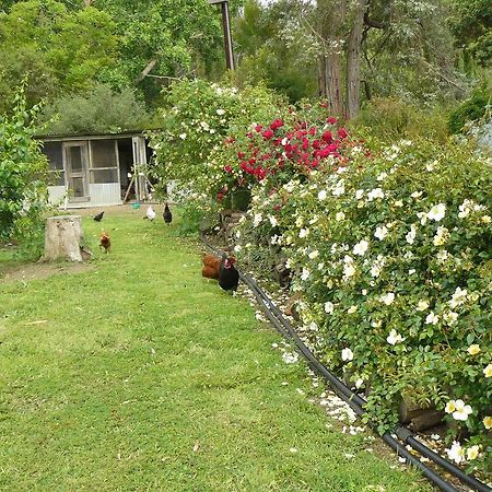 Camawald Coonawarra Cottage B&B Værelse billede